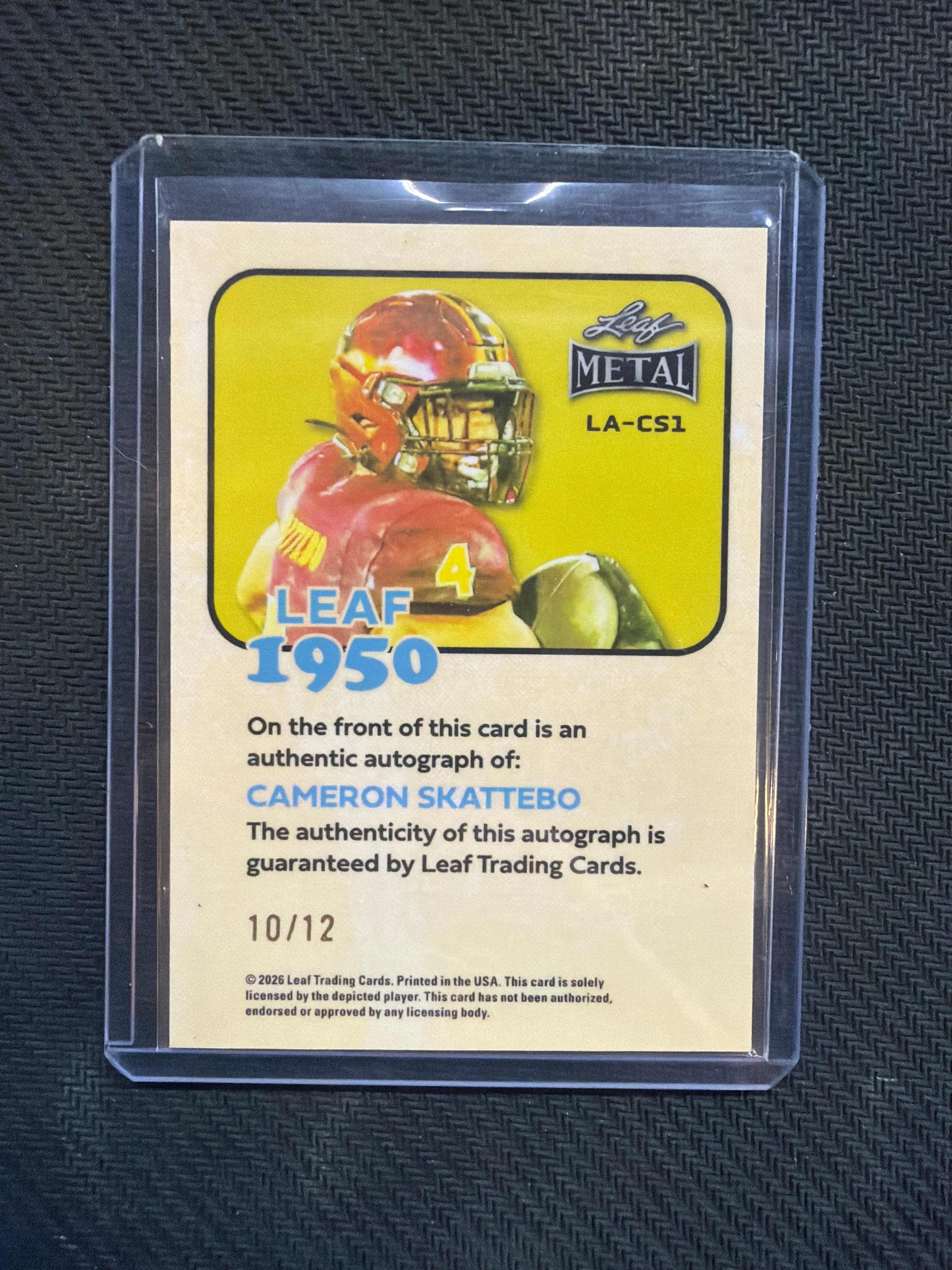 2026 Leaf Metal Cam Skattebo Auto /12