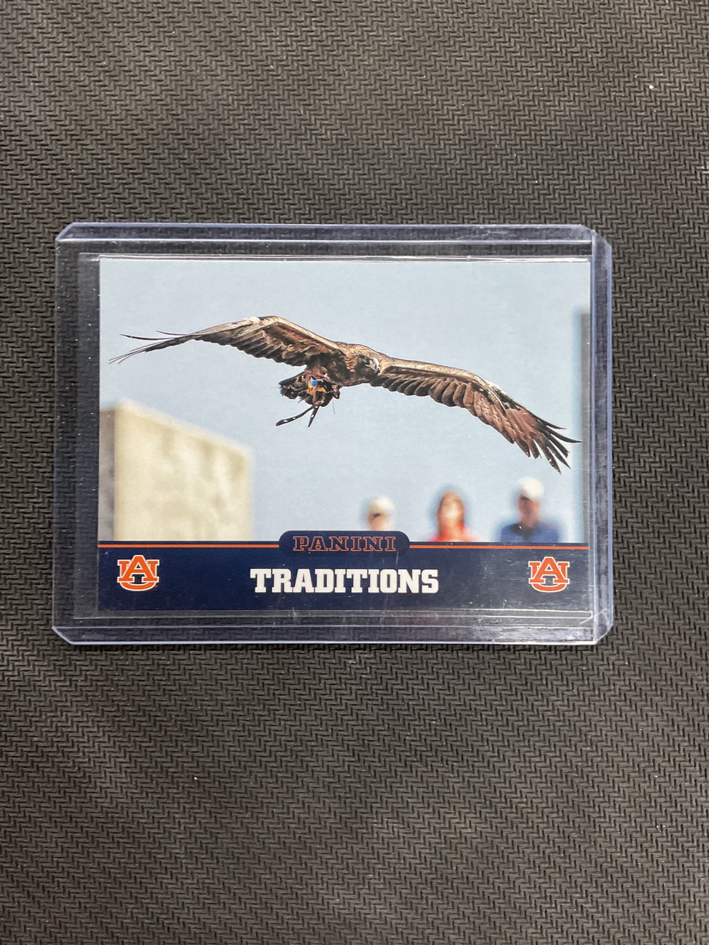 2016 Panini Auburn Traditions Bald Eagle #10