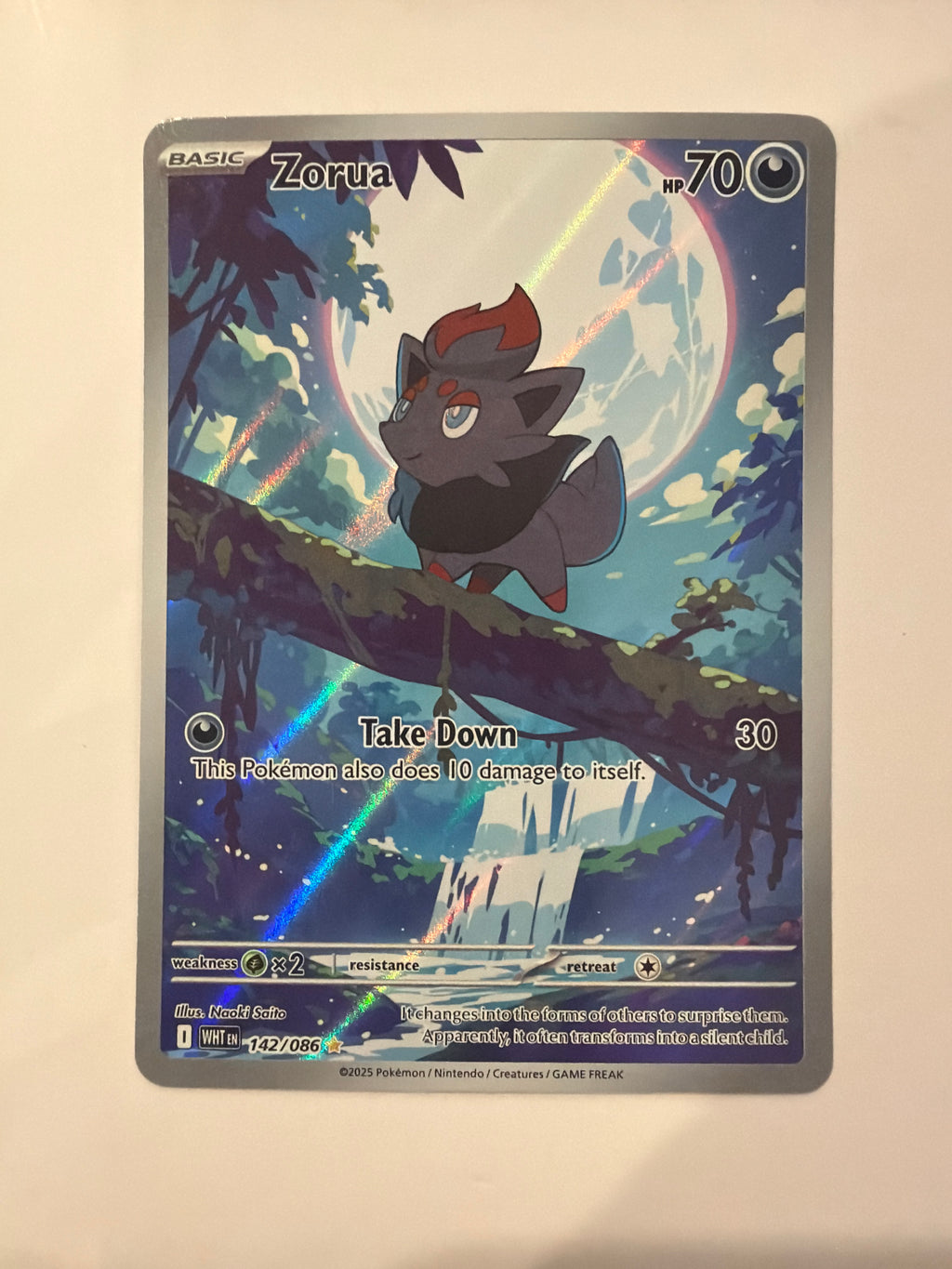 2025 Zorua 142