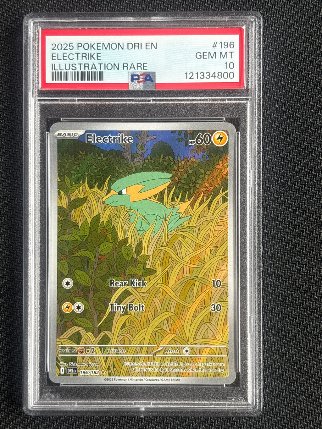 2025 Electrike 196 PSA 10