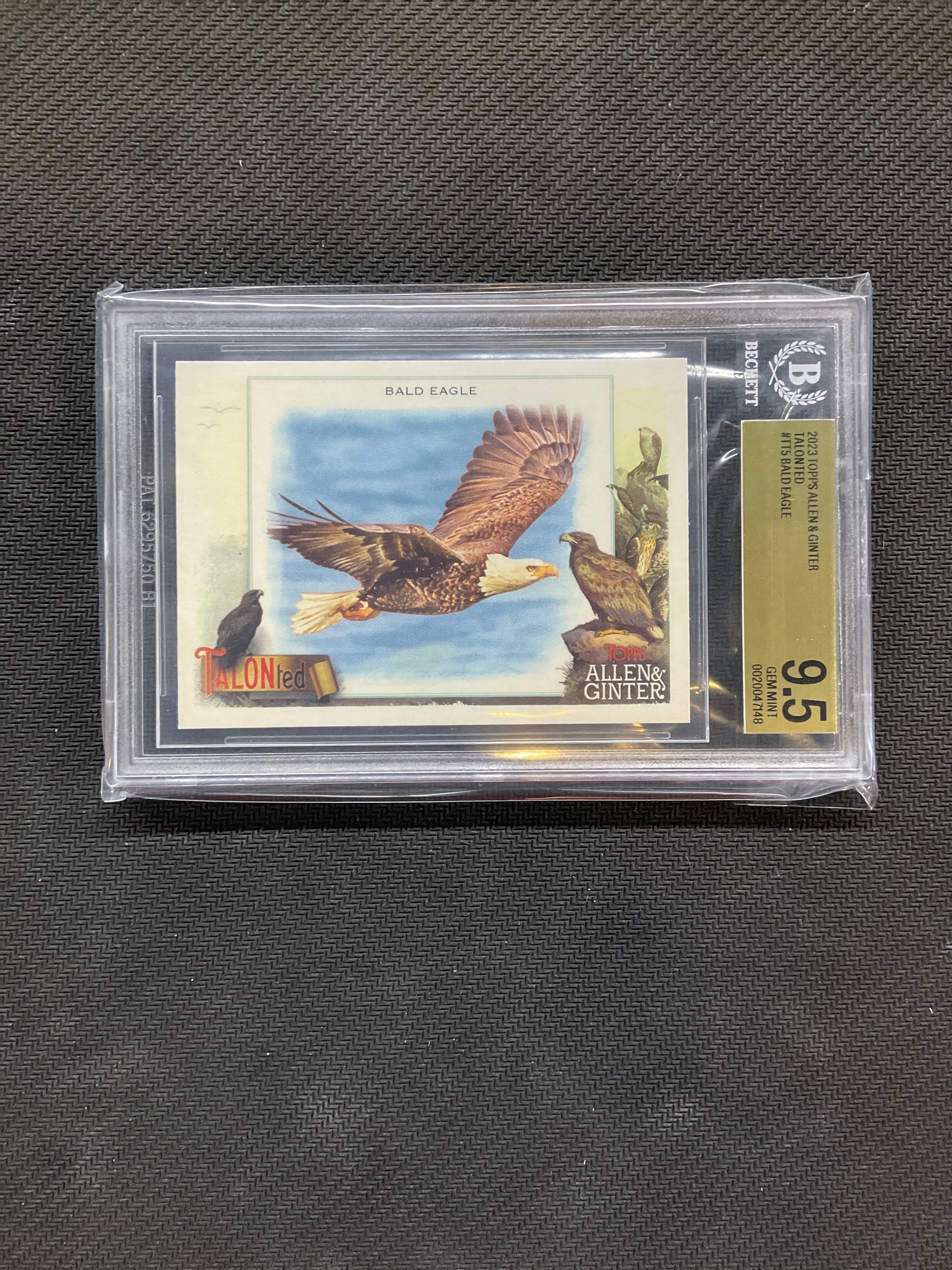 2023 Topps Allen & Ginter Bald Eagle Talonted BGS 9.5