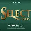 2025 Panini Select Baseball Mega